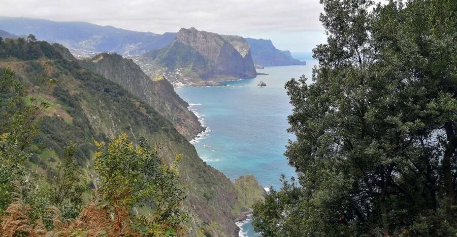Larano / Boca do Risco full day hike - The levada walk: a Madeira signature you’ll feel in your steps