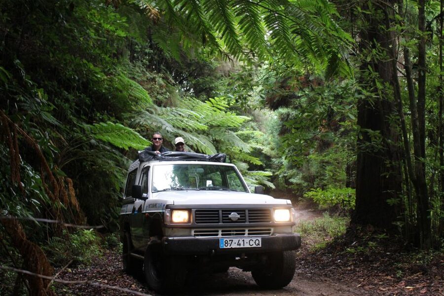 Let-Me-Surprise-You Madeira Full Day Private Tour - Meet Valdemar: local guidance with real context