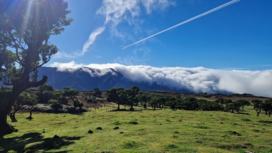 Let-Me-Surprise-You Madeira Full Day Private Tour - Price and value: $294 for up to 3 people