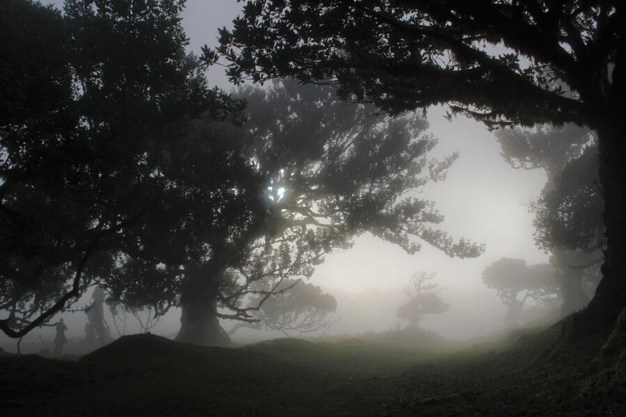 Let-Me-Surprise-You Madeira Full Day Private Tour - Madeira’s microclimates: the reason the route changes