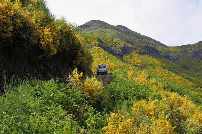Let-Me-Surprise-You Private Full-Day Tour in All Terrain Vehicle - Price and Value: What $302.34 Per Group Really Buys