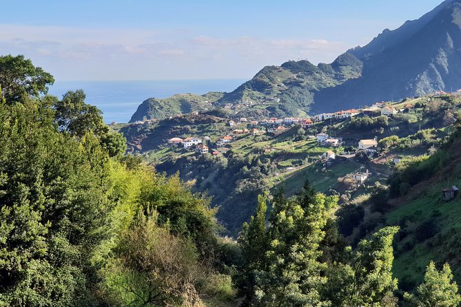 Levada da Referta - Castelejo - Levada da Referta in Castelejo: Why this short hike feels satisfying