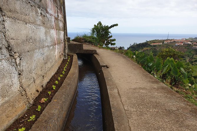 Levada da Referta - Castelejo - Pacing and what to expect for a 2-hour walk