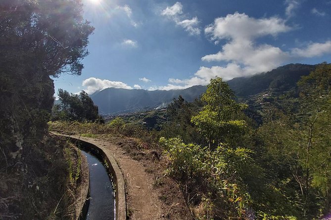 Levada da Referta - Castelejo - The end stop: Small-cafe comfort with orange juice, poncha, and cake
