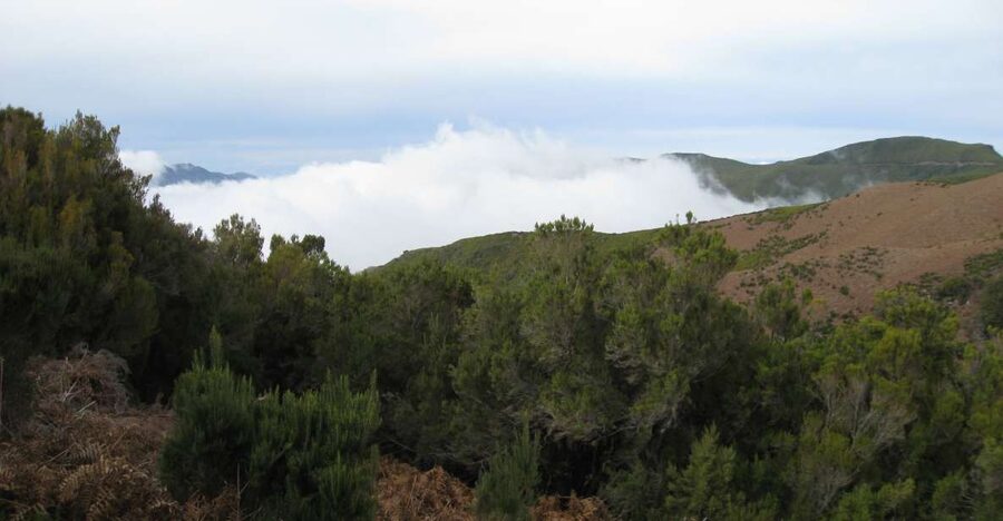Levada do Alecrim (Madeira Lakes) Full-day walk - Key Points You’ll Actually Care About