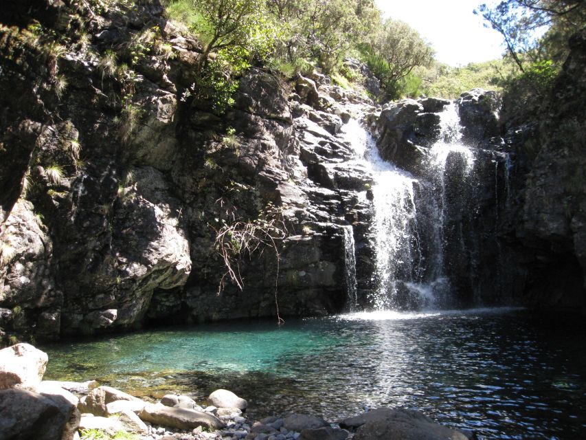 Levada do Alecrim (Madeira Lakes) Full-day walk - Rock Pools and Waterfalls: More Than a Pretty Side Trip