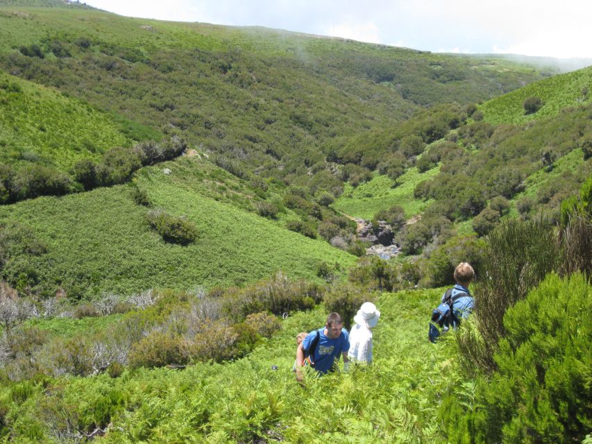 Levada do Alecrim (Madeira Lakes) Full-day walk - Swimming in Summer: Bring a Costume, Expect Cold