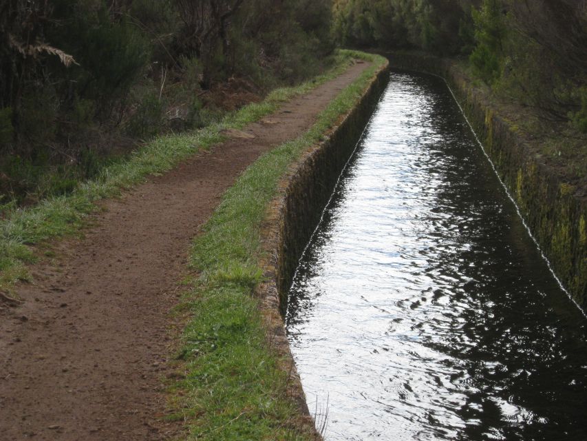 Levada do Alecrim (Madeira Lakes) Full-day walk - Price and Value: Is $53 Worth It?