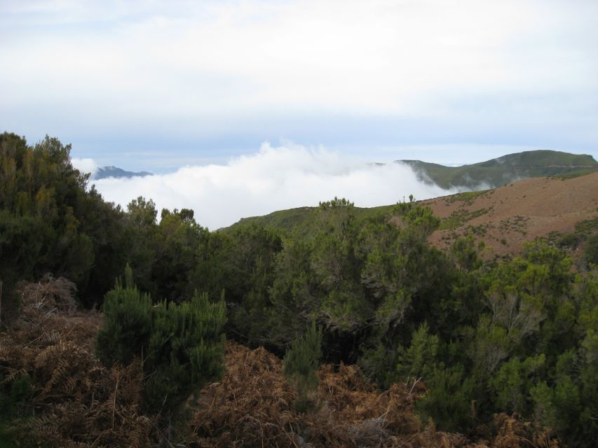 Levada do Alecrim (Madeira Lakes) Full-day walk - Paul da Serra: The View That Changes the Mood