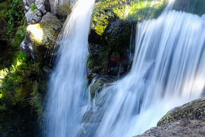 Levada do Alecrim - Rosemary Levada (Full Day Walk) - Key highlights before you go