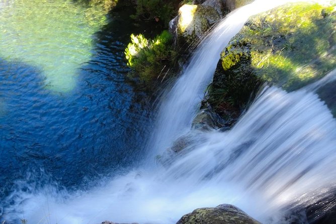 Levada do Alecrim - Rosemary Levada (Full Day Walk) - Walking the Rosemary Levada: what the guide-led route gives you