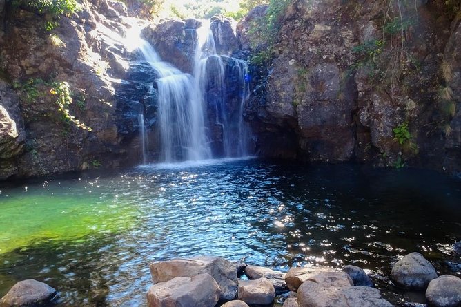 Levada do Alecrim - Rosemary Levada (Full Day Walk) - From Funchal pickup to the trail start (and why air-conditioned matters)