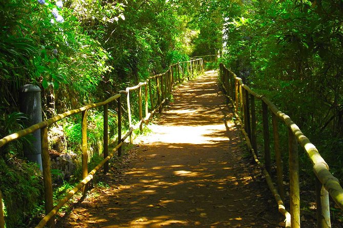 Levada do Caldeirão Verde Levada Walk from Funchal - Entering The Levada: Starting Fast From Funchal