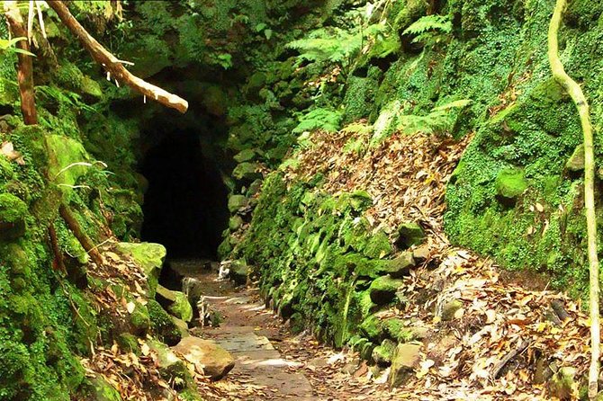 Levada do Caldeirão Verde Levada Walk from Funchal - Caldeirão Verde Waterfall: The Big Payoff (Bring Your Picnic Energy)