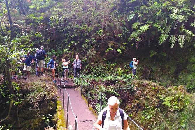 Levada do Caldeirão Verde Levada Walk from Funchal - Timing and How to Plan a Full 8-Hour Day