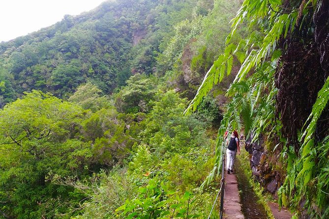 Levada do Caldeirão Verde Levada Walk from Funchal - Who This Tour Suits Best (And Who Might Want to Skip)