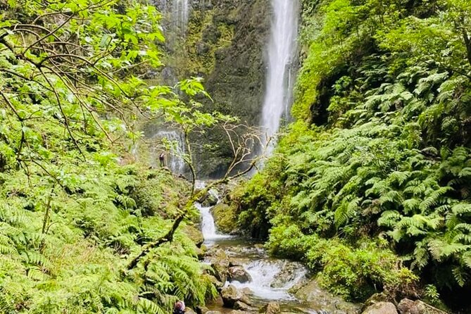 Levada do Caldeirão Verde Self-Guided Hike in Madeira - Price and value: what you pay for (and what you still need to cover)