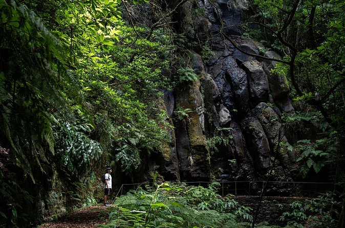 Levada do Caldeirão Verde Self-Guided Hike in Madeira - Self-guided, but not on your own