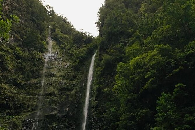 Levada do Caldeirão Verde Self-Guided Hike in Madeira - Walking the levada: tunnels, narrow sections, and the waterfall moment