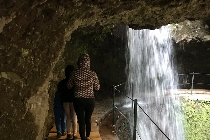 Levada do Moinho and Levada Nova - Private - From Funchal: Getting to Ponta do Sol Without the Hassle