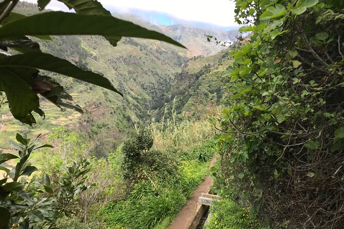 Levada do Moinho and Levada Nova - Private - The Guide Makes It Worth Paying for