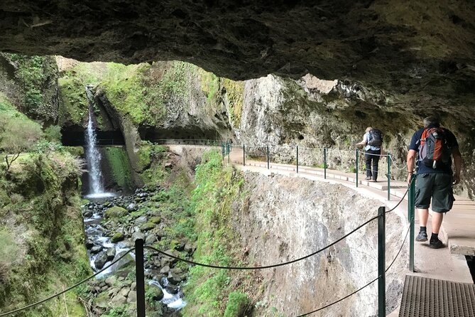 Levada do Moinho and Levada Nova - Private - What You’ll See Besides Water: Plants and Cultivation Walls