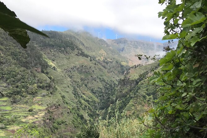 Levada do Moinho and Levada Nova - Private - Timing and Pace: A 5-Hour Window That Can Feel Shorter