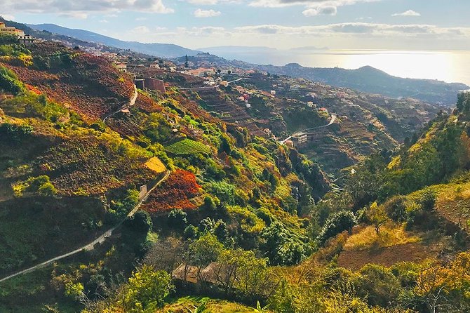 Levada do Norte - Walking Tour - Key points to know before you go