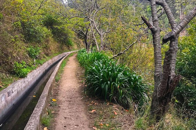 Levada do Norte - Walking Tour - What you actually see: Cabo Girão viewpoints and the Quinta Grande valley