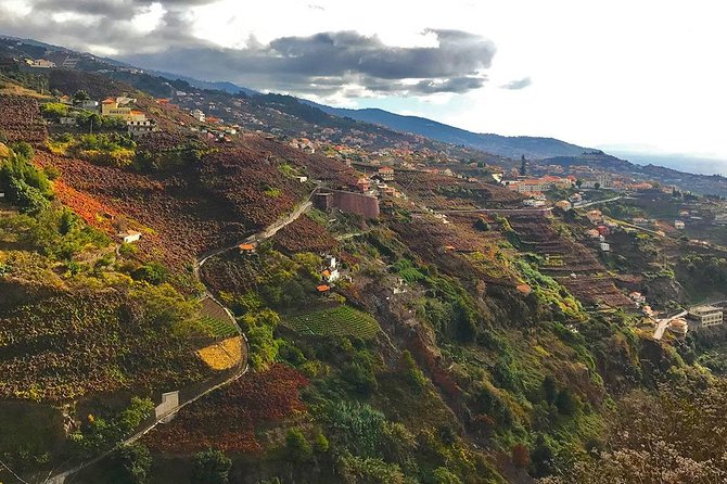 Levada do Norte - Walking Tour - Price and value: is $38.40 worth it for a Madeira levada walk?