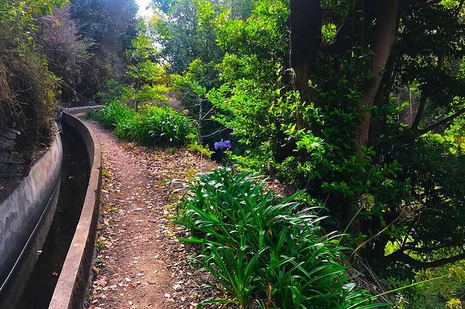 Levada do Norte - Walking Tour - Who this tour is best for (and who should rethink it)