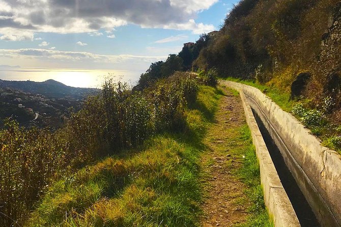Levada do Norte - Walking Tour - Should you book Levada do Norte with Lido Tours?