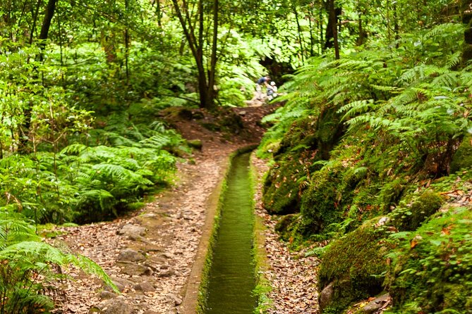 Levada do Rei PR18 Scenic Hike in Madeira with Transfer Service - Levada do Rei PR18: what your 4 hours really feel like