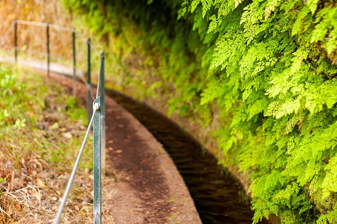 Levada do Rei PR18 Scenic Hike in Madeira with Transfer Service - The self-guided part: why this pace is worth paying for