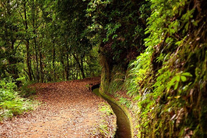 Levada do Rei PR18 Scenic Hike in Madeira with Transfer Service - Price and value: what you’re really paying for at $48.06