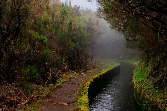 Levada do Rei PR18 Scenic Hike in Madeira with Transfer Service - Pickup and transfer: the part that makes or breaks the day