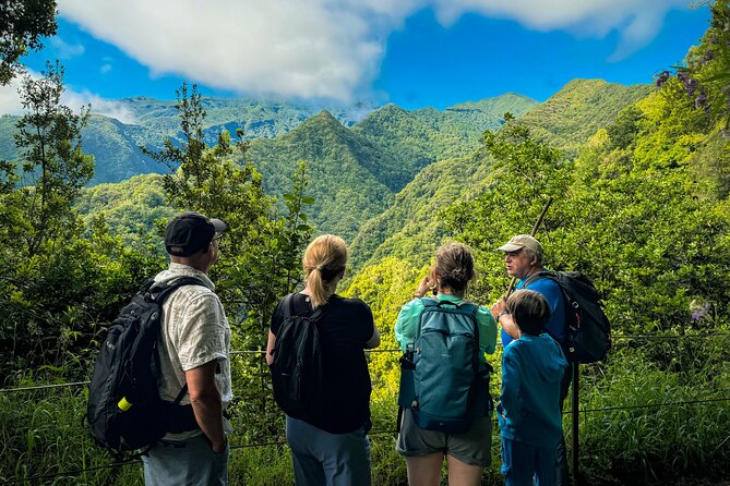 Levada do Rei (PR18) - Through Madeira's Majestic Laurissilva - Key things to know before you go on Levada do Rei (PR18)