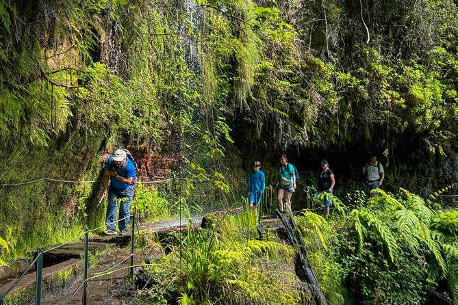 Levada do Rei (PR18) - Through Madeira's Majestic Laurissilva - Madeira’s levadas feel different in the Laurisilva forest