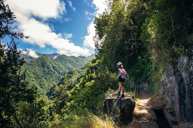 Levada do Rei (PR18) - Through Madeira's Majestic Laurissilva - The 8:30 start: smooth pickup beats last-minute scramble