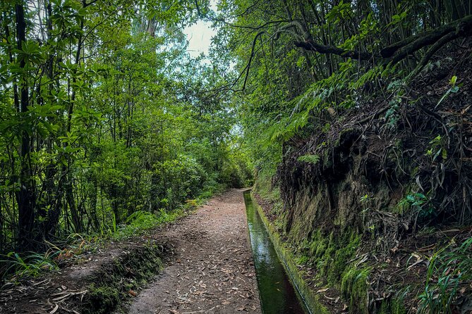 Levada do Rei (PR18) - Through Madeira's Majestic Laurissilva - The trail walk: 3h30 of levada time with moderate fitness needs