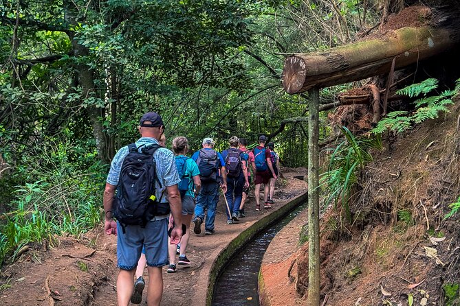 Levada do Rei (PR18) - Through Madeira's Majestic Laurissilva - Stop inside UNESCO Laurisilva: the guide is half the magic