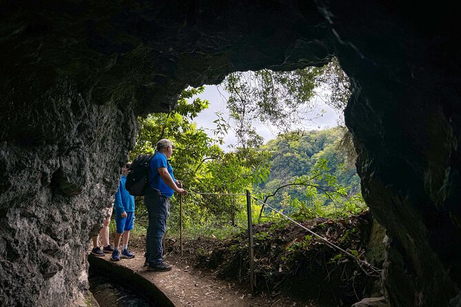 Levada do Rei (PR18) - Through Madeira's Majestic Laurissilva - How this compares to doing a levada walk on your own