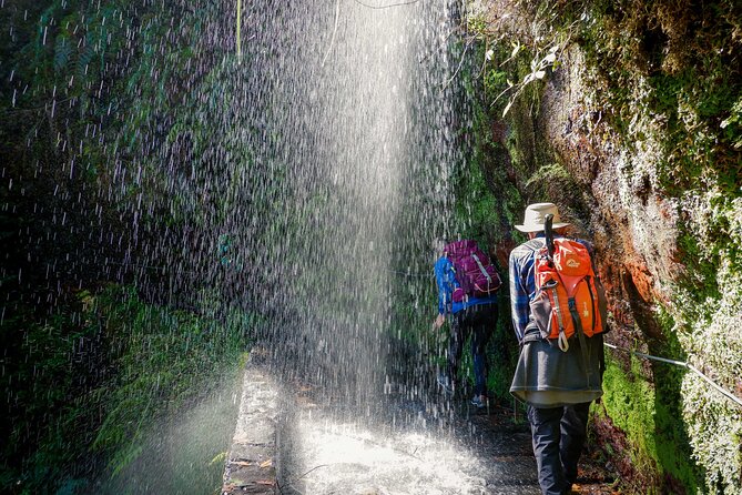 Levada do Rei (PR18) - Through Madeira's Majestic Laurissilva - Price and value: what you pay for, and what you don’t