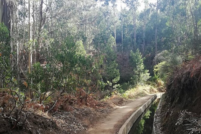 Levada Serra D´Agua - Key Points at a Glance