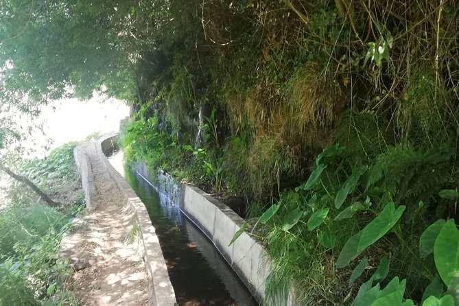 Levada Serra D´Agua - Serra D’Agua + Levada do Norte: the short walk that still feels like Madeira