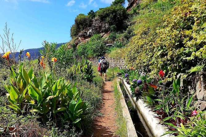 Levada Serra D´Agua - Into the eucalyptus forest: quieter steps, easier breathing