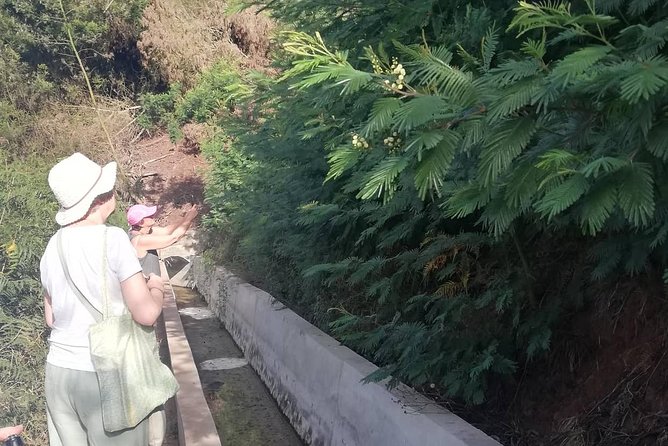 Levada Serra D´Agua - Who this tour suits best (and who might want to rethink)