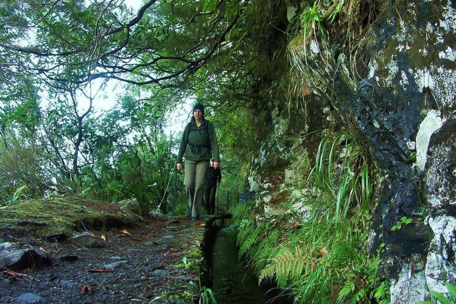 Levada Walk and Caldeirao Verde Waterfalls: Madeira - Key things to know before you go