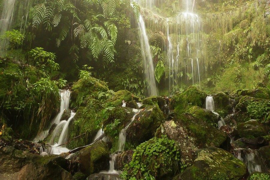 Levada Walk and Caldeirao Verde Waterfalls: Madeira - Madeira’s Levada Walk: why the channels feel different from normal hiking