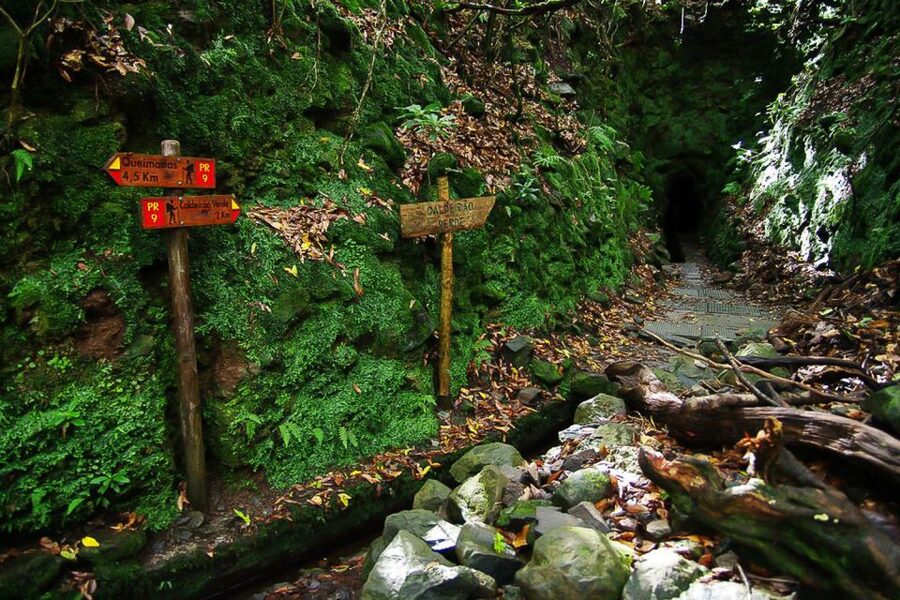 Levada Walk and Caldeirao Verde Waterfalls: Madeira - Price and value: what $46 covers, and the extra levada fee